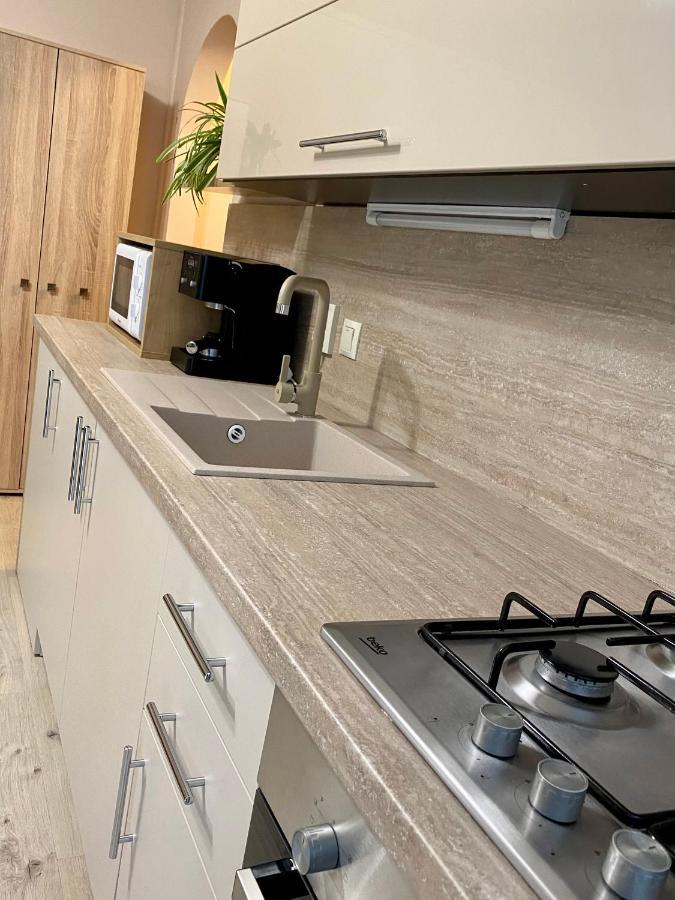 Maya Apartment Kluž Exteriér fotografie